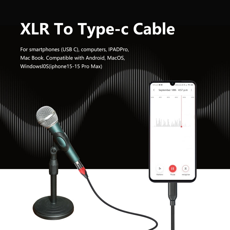 Cavo audio Tipo C maschio a XLR femmina per microfono