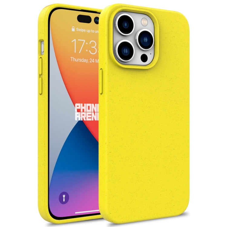 Custodia per telefono in TPU di paglia di grano, For iPhone 16 Pro, For iPhone 16 Plus, For iPhone 16