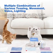 ESCAM QF011 Telecamera robot intelligente per animali domestici da 2 MP con visione notturna e telecomando APP, QF011