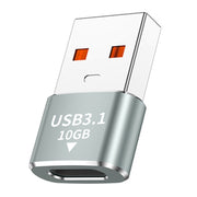 Adattatore mini OTG USB3.1 maschio da 120 W e 10 Gbps a USB-C/tipo C femmina