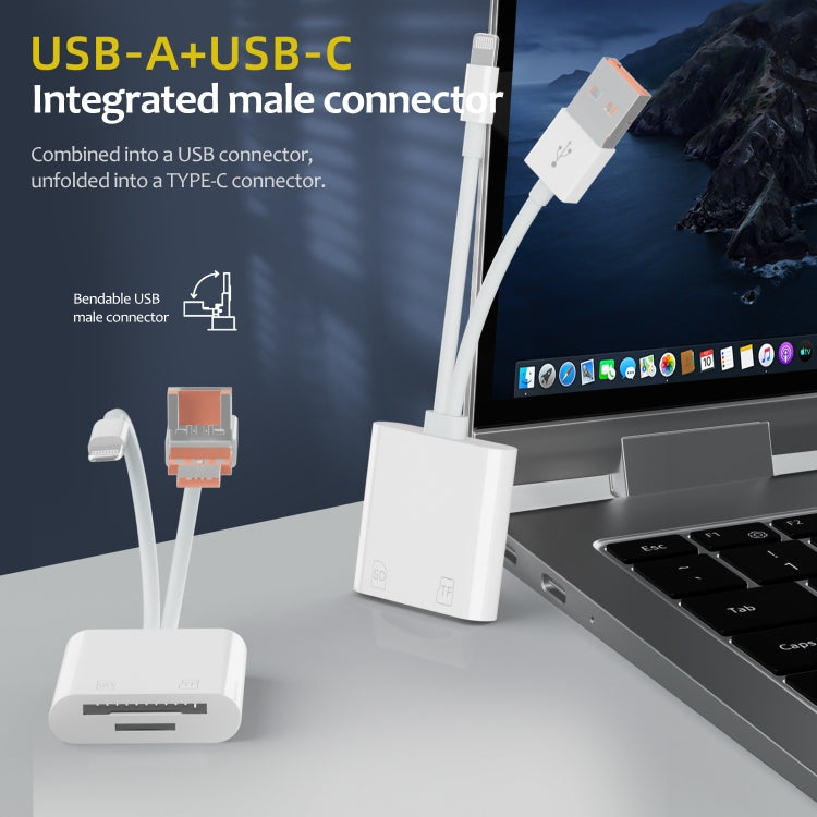 Lettore schede SD TF USB-C 3 in 1 compatto