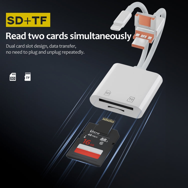 Lettore schede SD TF USB-C 3 in 1 compatto