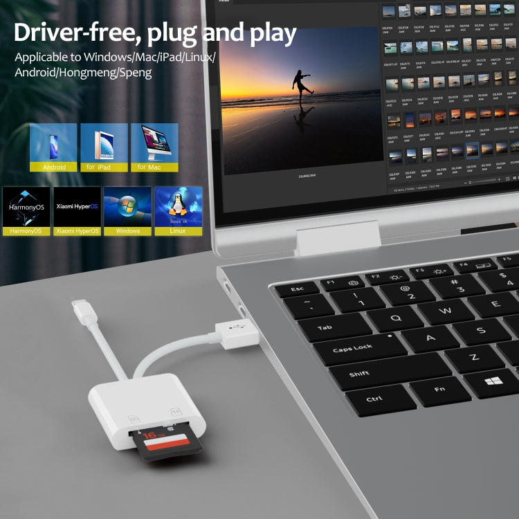 Lettore schede SD TF USB-C 3 in 1 compatto