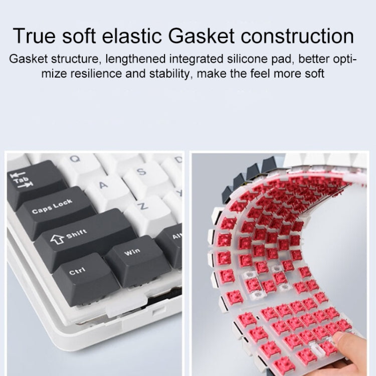 AULA F87 87 tasti cablata/2.4G/Bluetooth Tre modelli tastiera meccanica RGB personalizzata