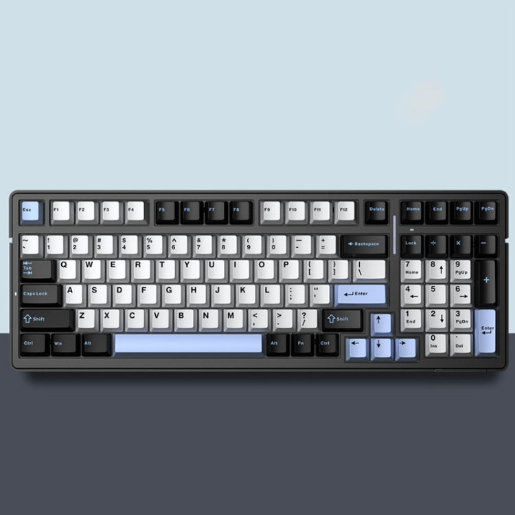 Tastiera meccanica RGB personalizzata a tre modelli AULA F99 99 tasti cablata/2.4G/Bluetooth
