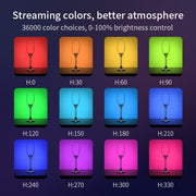 Luce di riempimento video RGB tascabile FUNSNAP