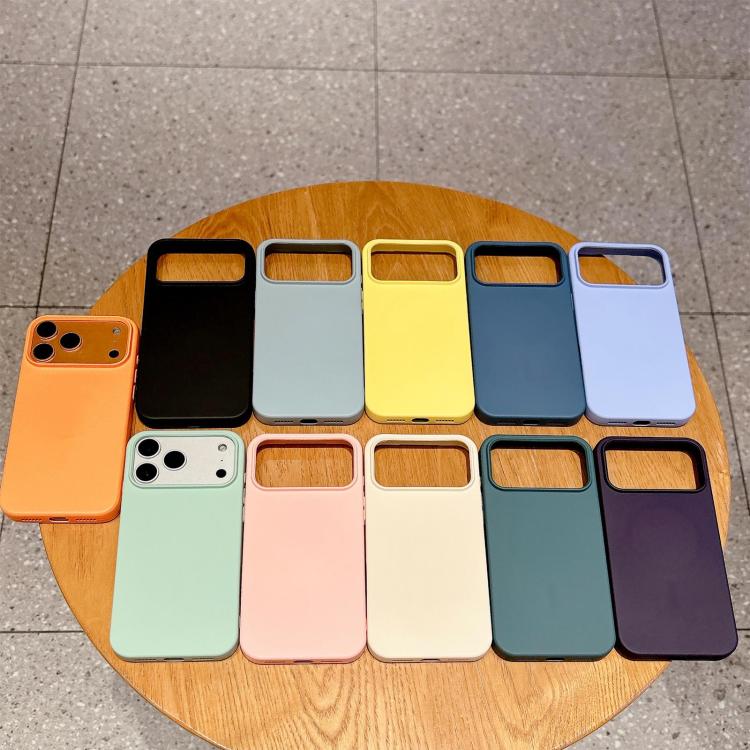 Custodia MagSafe per telefono in silicone liquido, For iPhone 11, For iPhone 11 Pro