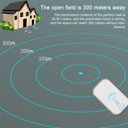 Campanello wireless impermeabile 2 in 1 con telecomando a lunga distanza, Silver, A20 Pro