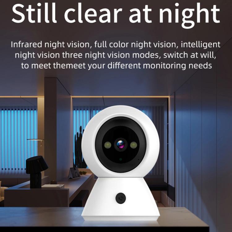 Telecamera WiFi 1080P HD doppia luce con visione notturna