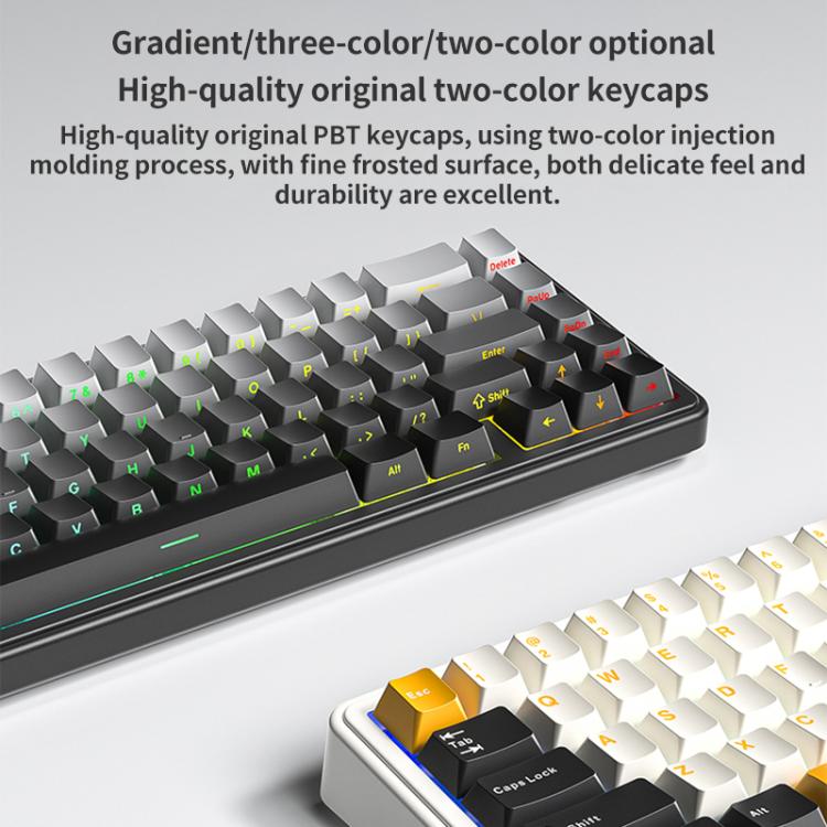 Tastiera meccanica AULA F65 67 tasti 2.4G / BT / cablata a tre modelli RGB Gaske