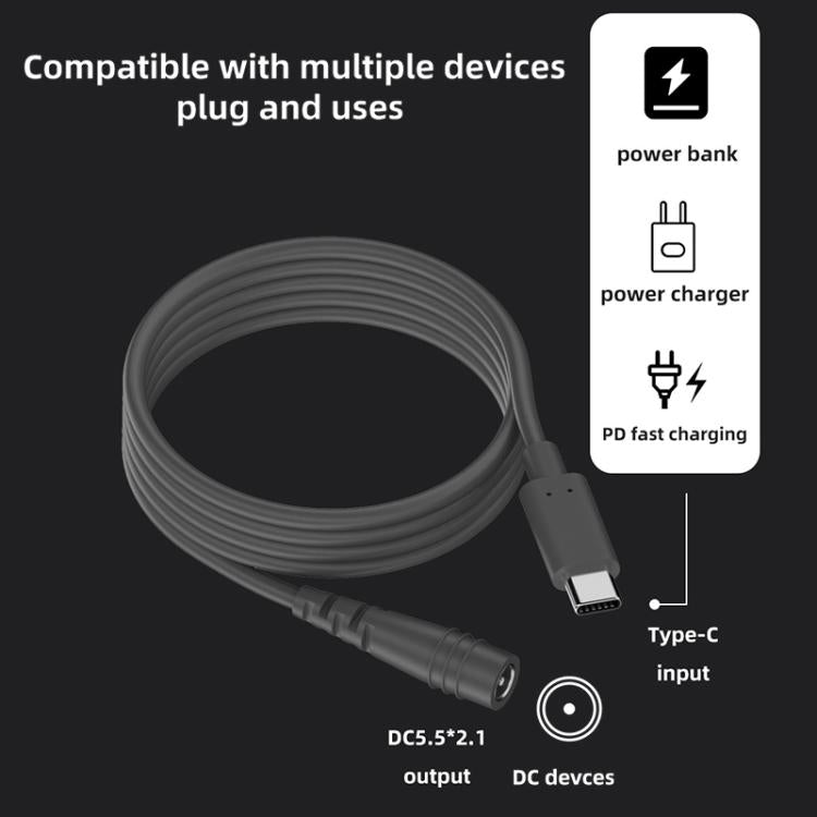 Adattatore ricarica USB Tipo C a DC 5,5x2,1 mm 100W