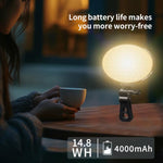 Luce portatile RGB GZ-668 con batteria 4000mAh