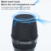 Microfono wireless karaoke AI-101 con 7 bande EQ