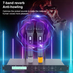 Microfono wireless karaoke AI-101 con 7 bande EQ