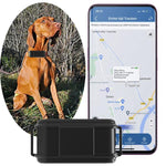TK919 Collare per cani 4G impermeabile IP67 con localizzatore GPS