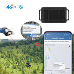 TK919 Collare per cani 4G impermeabile IP67 con localizzatore GPS
