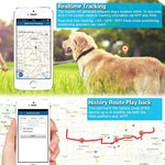 TK919 Collare per cani 4G impermeabile IP67 con localizzatore GPS