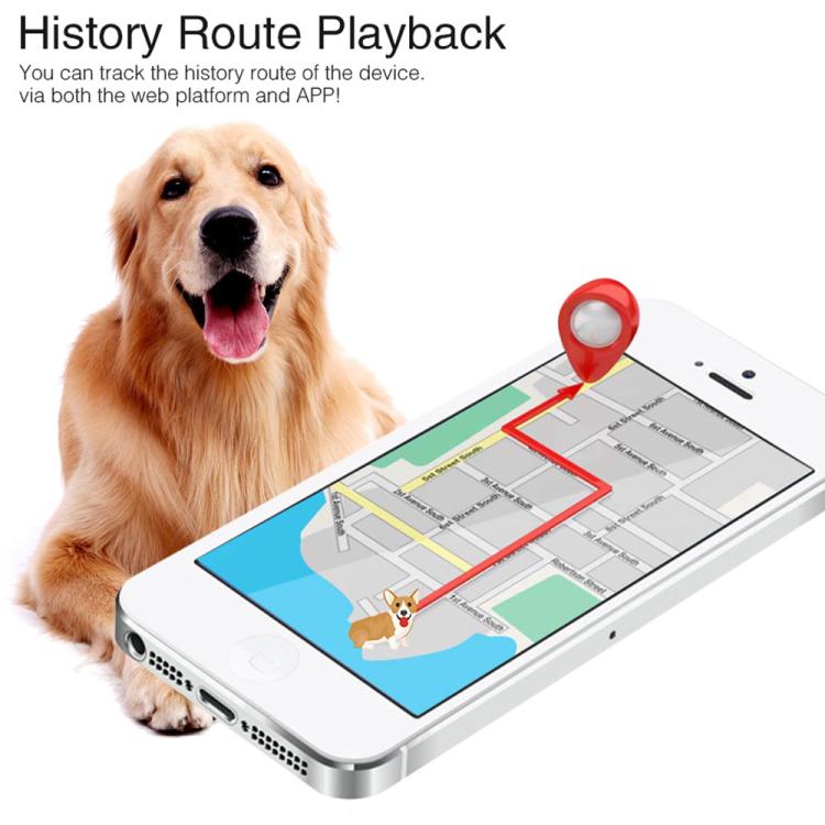 TK919 Collare per cani 4G impermeabile IP67 con localizzatore GPS