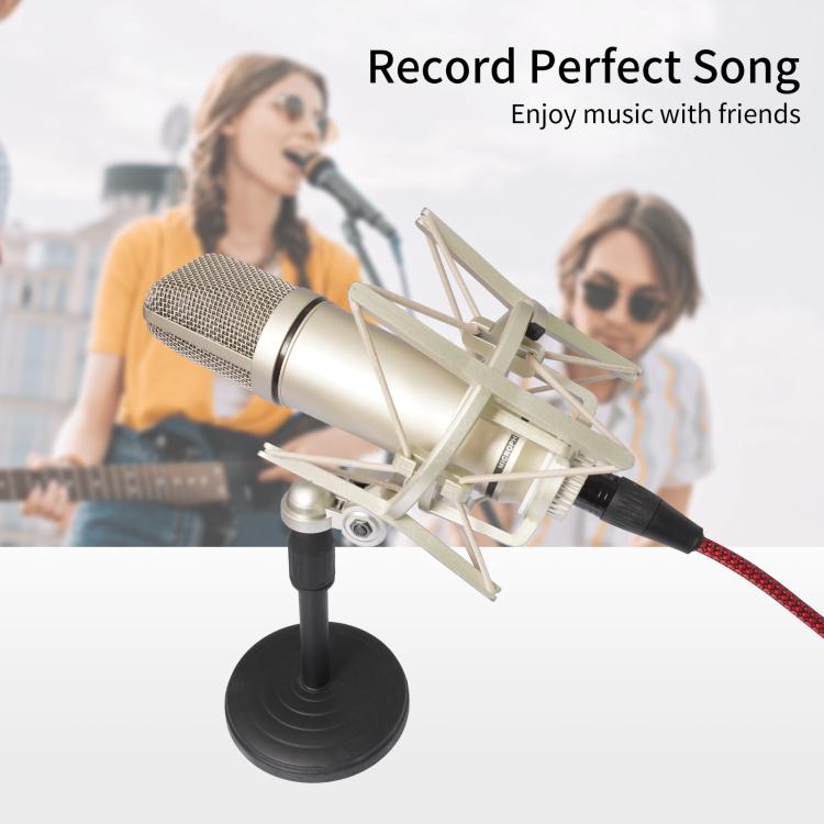 Cavo di registrazione audio da USB-A a XLR femmina per microfono dinamico, 1m, 2m, 3m