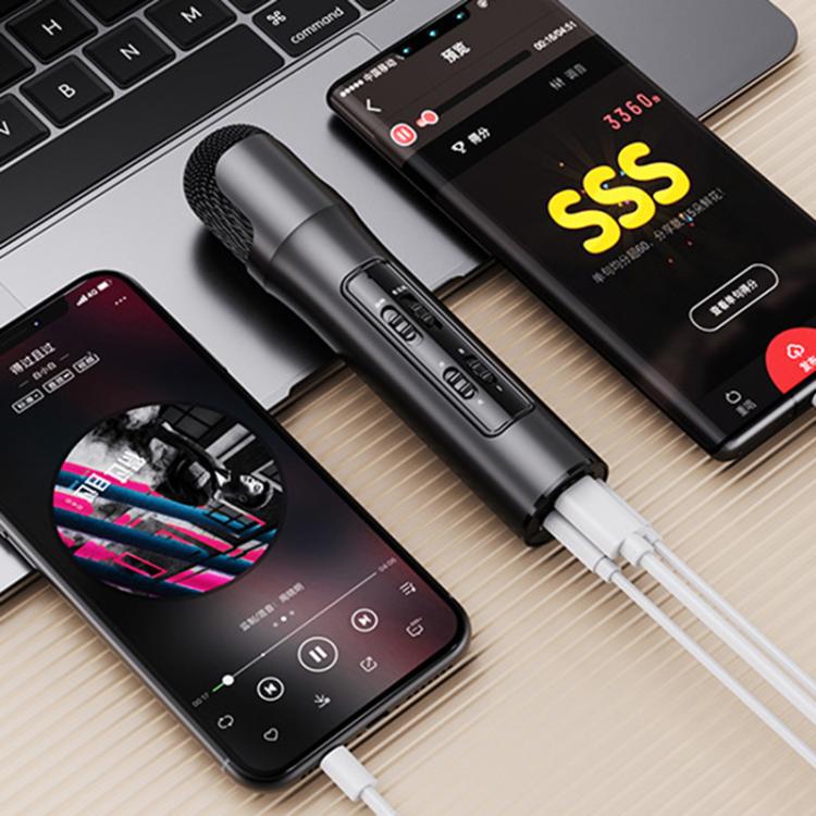 Microfono karaoke Lebo P1, audio domestico, Bluetooth wireless.