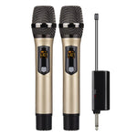 Sistema microfonico wireless ricaricabile UHF DEBRA A-25 per palcoscenici e KTV, One Mic, Two Mic