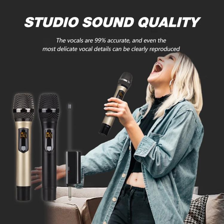 Sistema microfonico wireless ricaricabile UHF DEBRA A-25 per palcoscenici e KTV, One Mic, Two Mic