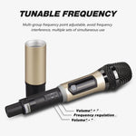 Sistema microfonico wireless ricaricabile UHF DEBRA A-25 per palcoscenici e KTV, One Mic, Two Mic