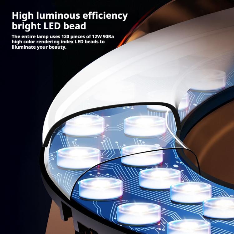 Luce LED ad anello 8 pollici con supporto regolabile