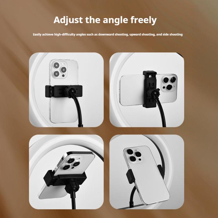 Luce LED anello 10" con supporto regolabile per selfie