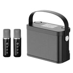 YS-219 Mini altoparlante karaoke portatile wireless Bluetooth con 2 microfoni