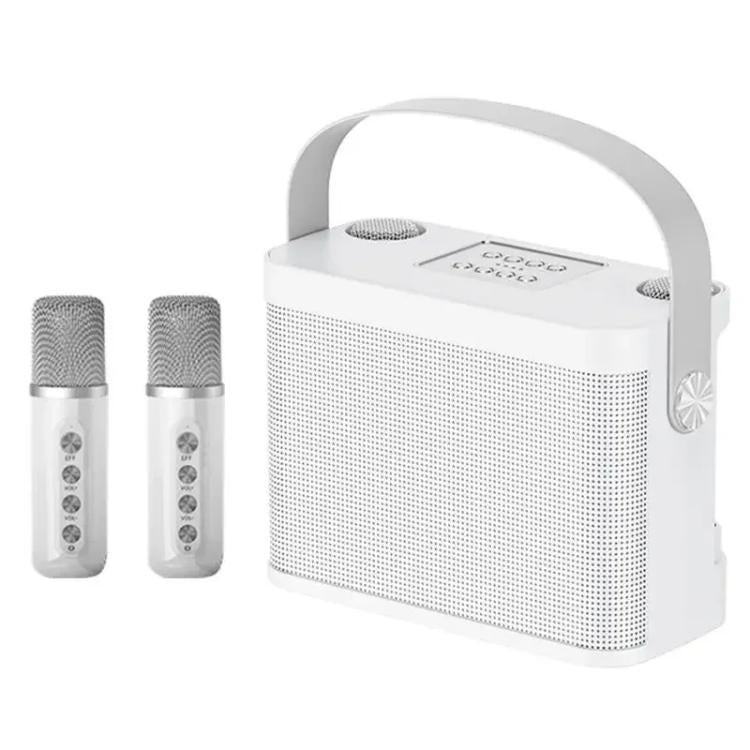 YS-219 Mini altoparlante karaoke portatile wireless Bluetooth con 2 microfoni