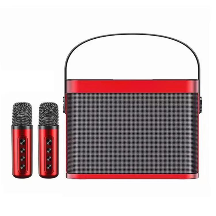 YS-219 Mini altoparlante karaoke portatile wireless Bluetooth con 2 microfoni