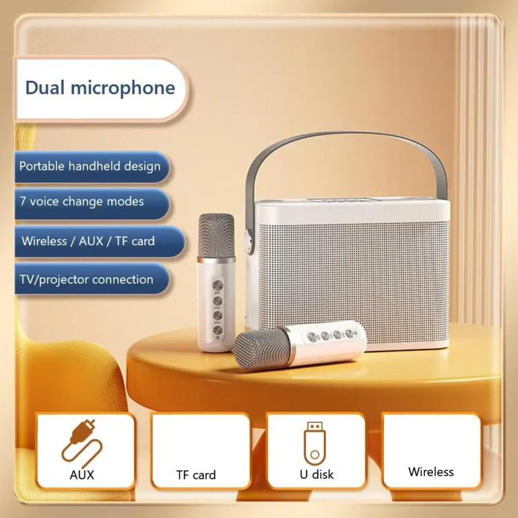 YS-219 Mini altoparlante karaoke portatile wireless Bluetooth con 2 microfoni