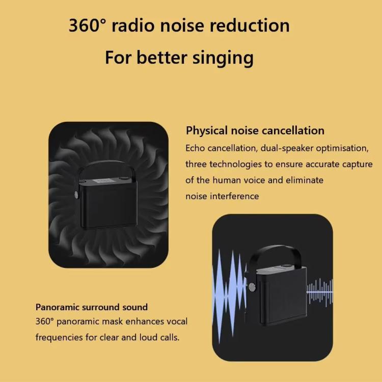 YS-219 Mini altoparlante karaoke portatile wireless Bluetooth con 2 microfoni