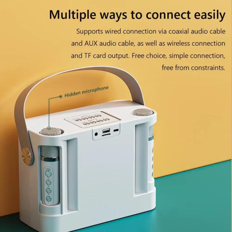 YS-219 Mini altoparlante karaoke portatile wireless Bluetooth con 2 microfoni