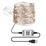 RGB USB LED Filo di rame Stringa luminosa Decorazione natalizia Stringa luminosa Controllo APP mobile Bluetooth, 2m 20 LED, 5m 50 LED, 10m 100 LED, 12m 120 LED, 15m 150 LED, 20m 200 LED