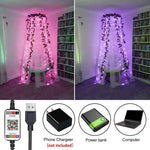RGB USB LED Filo di rame Stringa luminosa Decorazione natalizia Stringa luminosa Controllo APP mobile Bluetooth, 2m 20 LED, 5m 50 LED, 10m 100 LED, 12m 120 LED, 15m 150 LED, 20m 200 LED