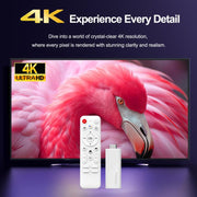 H96 Max H313 Mini TV Stick HD Android 14 con telecomando, ARM Cortex-A53 Quad Core, 2GB+16GB, 2GB+8GB