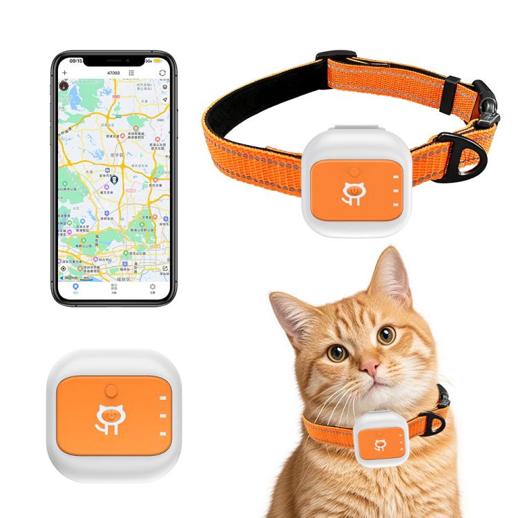 G01 Collare anti-smarrimento per animali domestici con localizzatore GPS