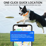 G01 Collare anti-smarrimento per animali domestici con localizzatore GPS