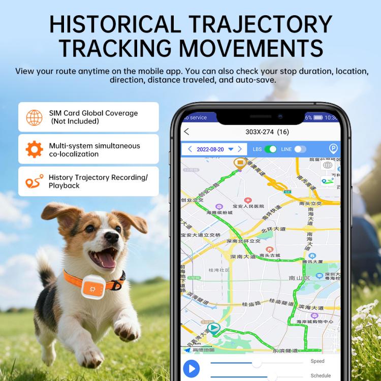 G01 Collare anti-smarrimento per animali domestici con localizzatore GPS