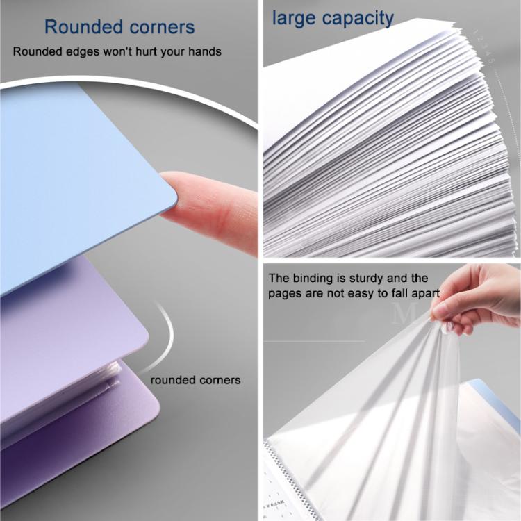 Cartella portadocumenti A4 con tasca interna trasparente e fibbia., 20 Pockets, 30 Pockets, 40 Pockets