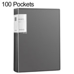 Cartella portadocumenti interna traslucida formato A4 con tasca interna, 100 Pockets