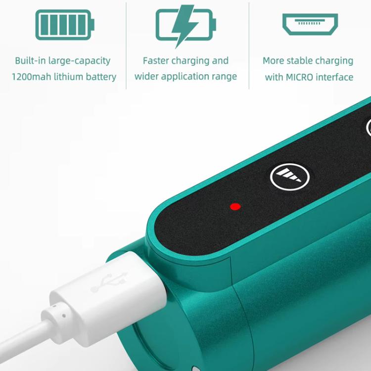 BEST BST-9912 Mini penna lucidante elettrica intelligente portatile con velocità regolabile, BEST BST-9912