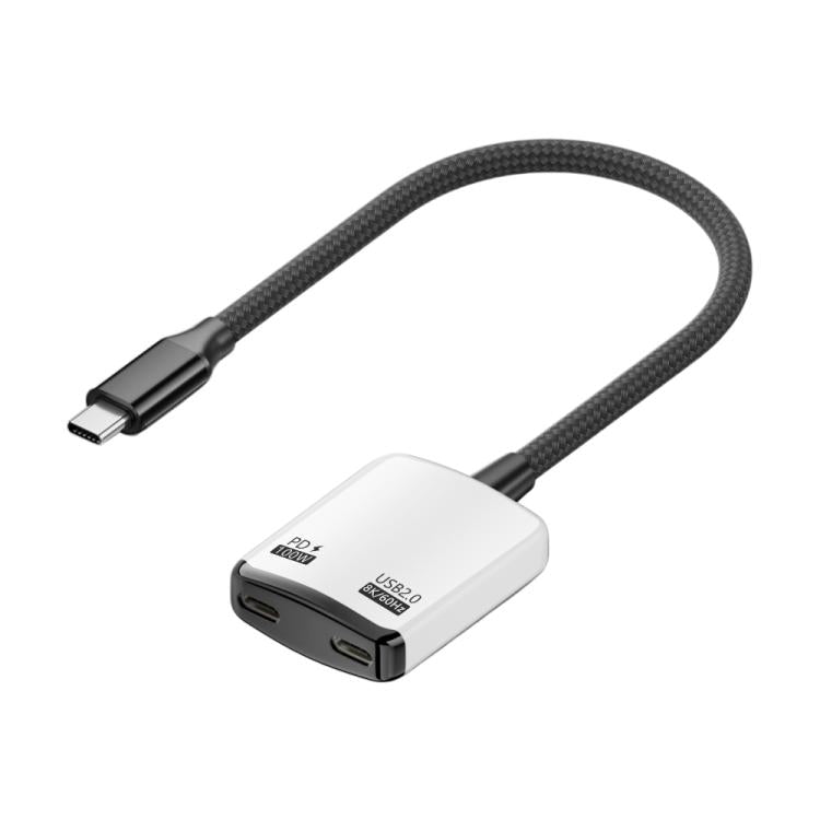 Convertitore AR 2 in 1 da Type-C a doppio Type-C con funzionalità complete