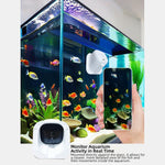 Telecamera di sorveglianza wireless WiFi intelligente ad alta definizione grandangolare, 30W Pixels, 300W Pixels