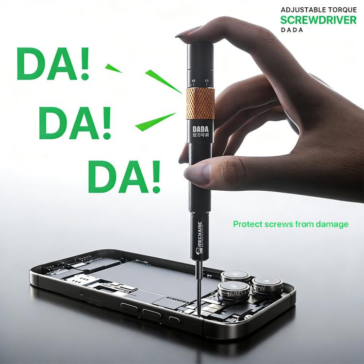 Set di cacciaviti dinamometrici regolabili con blocco automatico DADA per meccanici, Mechanic DADA