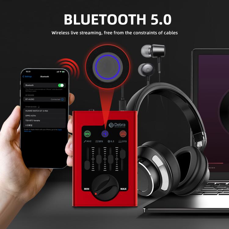 Scheda audio DEBRA GBA Live Recording Mini