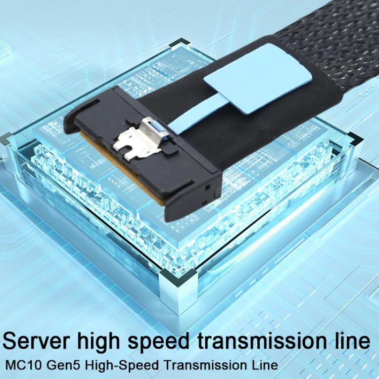 WG185 SlimeSAS MCIOx8 to 2xMCIOx4 Gen5MCIOx8 Server Data Adapter Cable, 0.5m