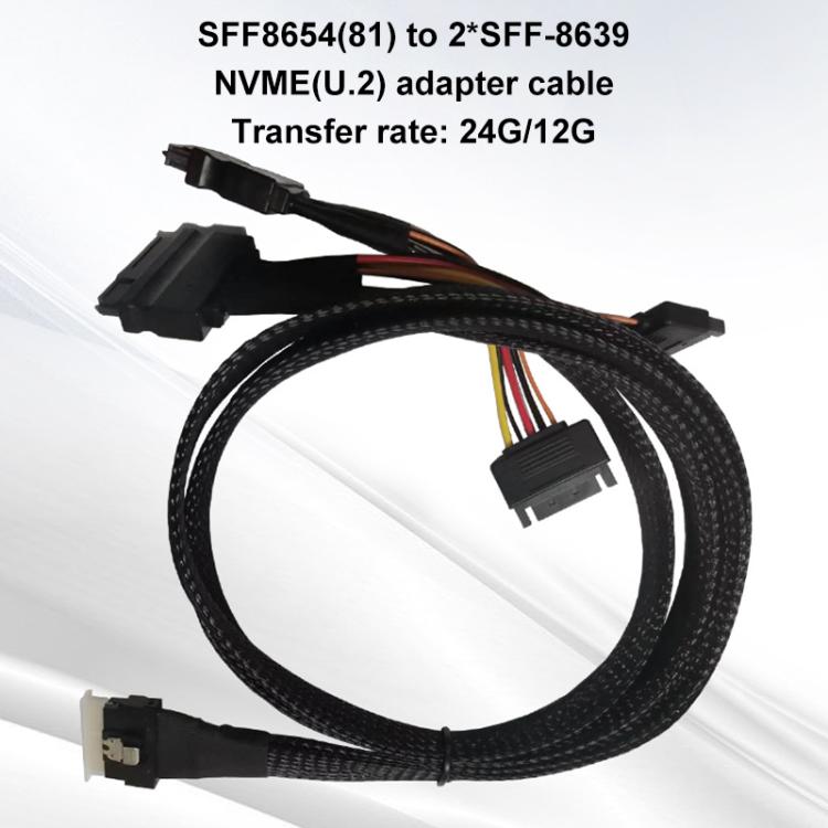 SFF-8654 8i to Dual NVMe U.2 SFF-8639 SSD Adapter Cable, 0.8m